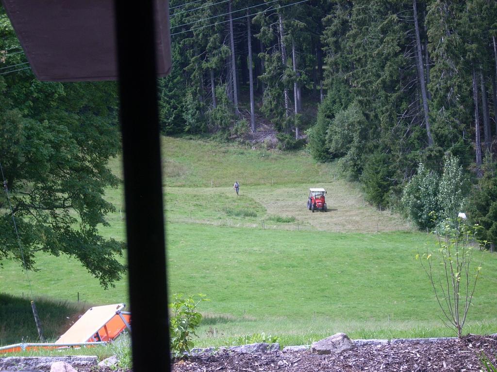 Tannenhof Apartman Schluchsee Kültér fotó