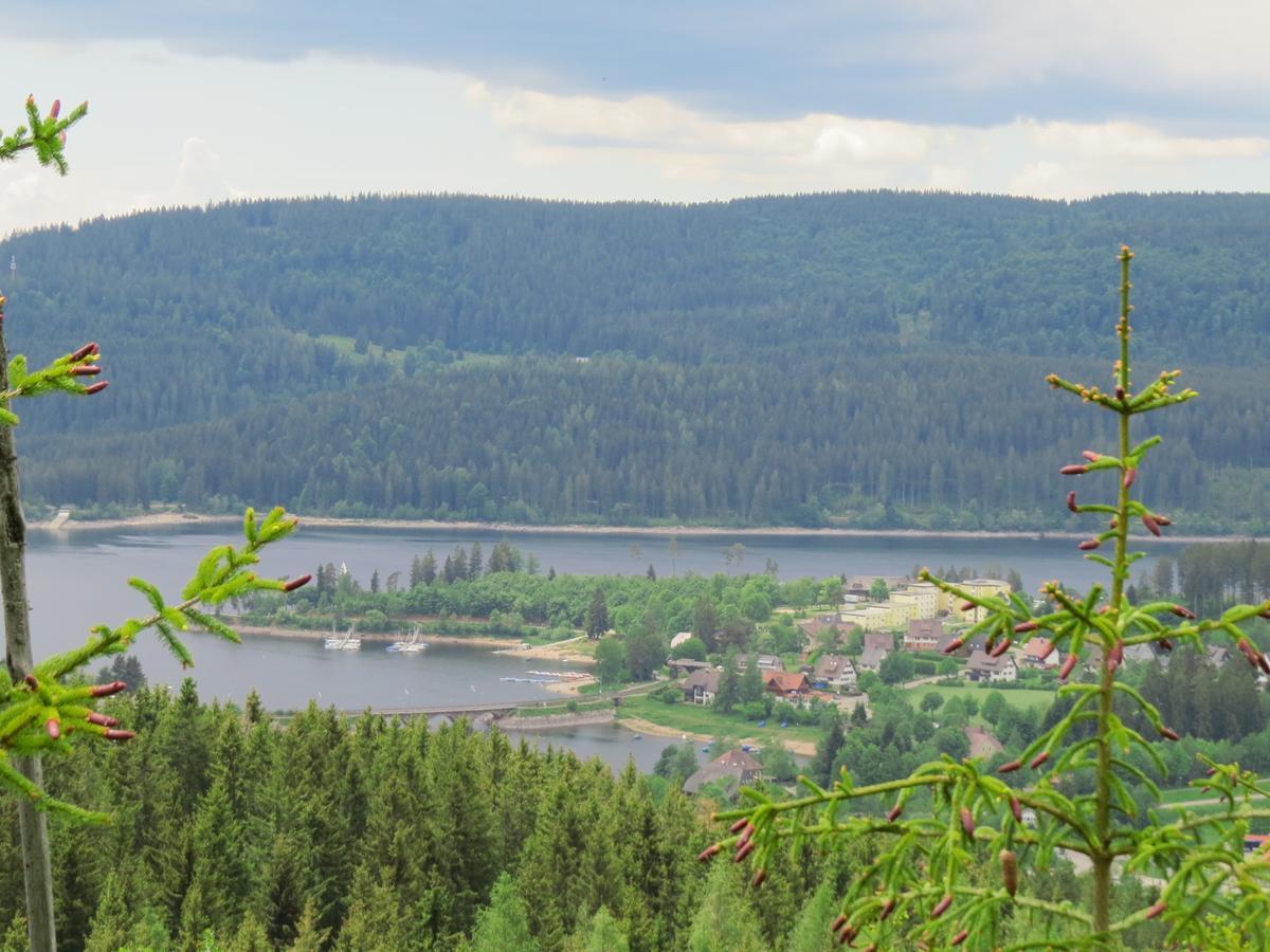 Tannenhof Apartman Schluchsee Kültér fotó