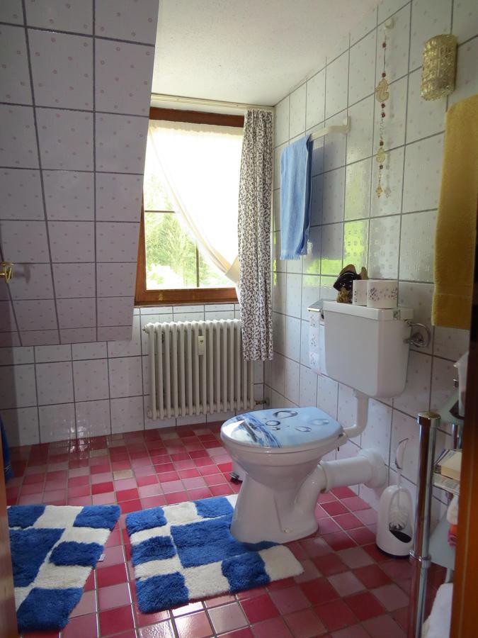 Tannenhof Apartman Schluchsee Kültér fotó