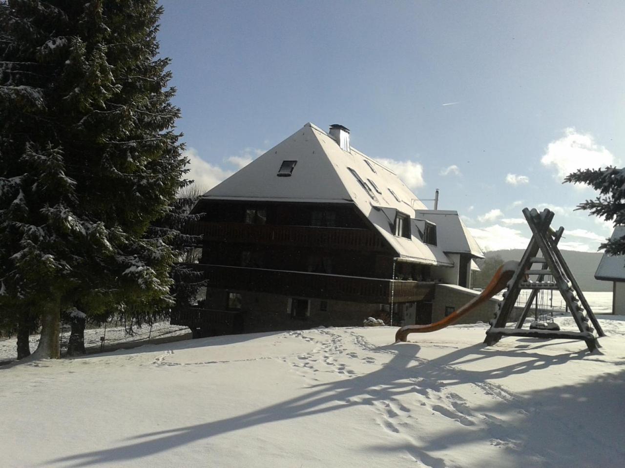 Tannenhof Apartman Schluchsee Kültér fotó